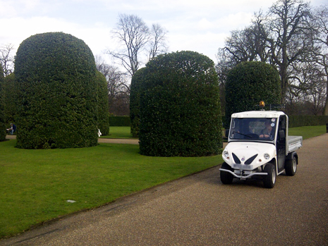 electric van royal residence