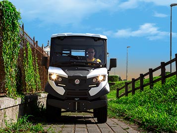 Mini electric truck