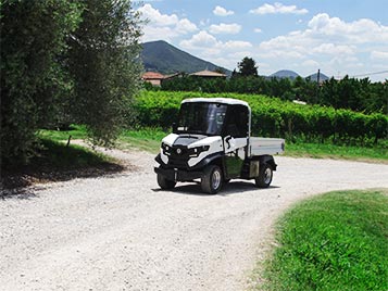 Offroad vehicle